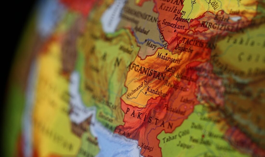 Afganistan yönetimi, Birleşmiş Milletler (BM) Afganistan İnsan Hakları Özel Raportörü