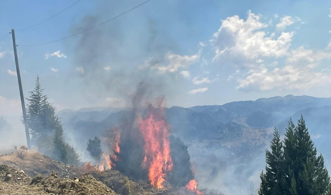 ANTALYA (AA) – Antalya’nın Alanya ilçesinde makilik alanda çıkan yangında