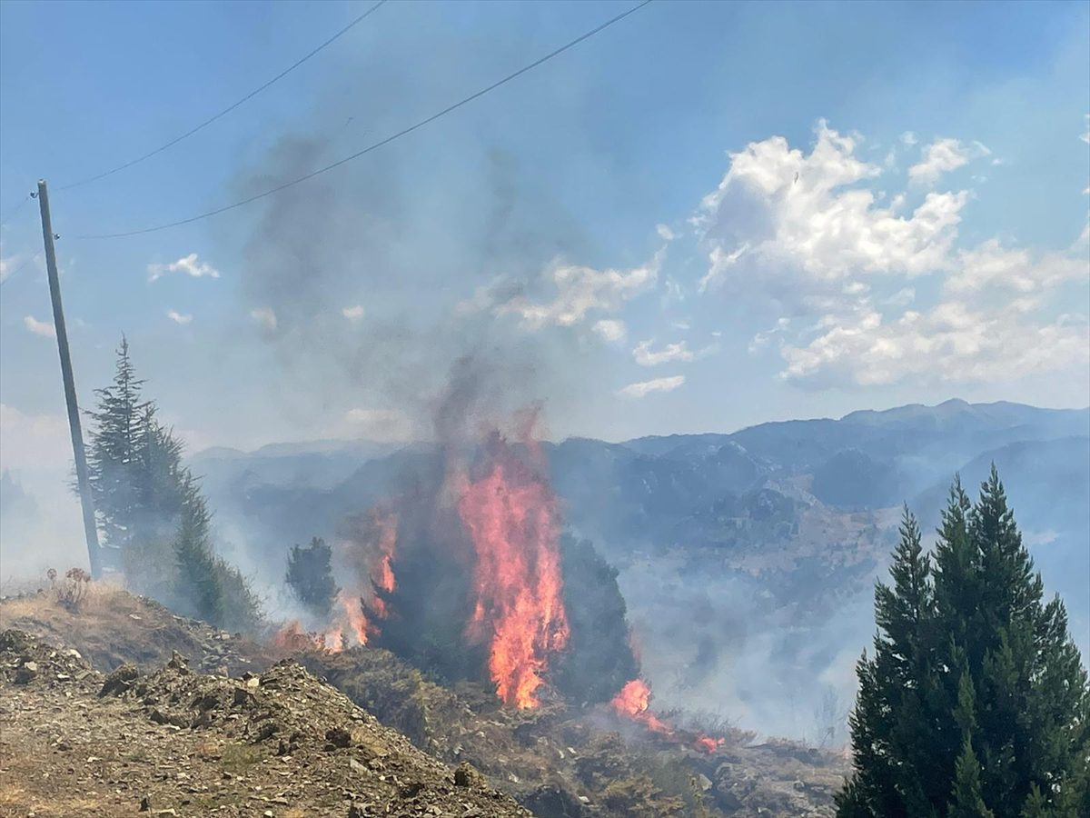 ANTALYA (AA) – Antalya’nın Alanya ilçesinde makilik alanda çıkan yangında