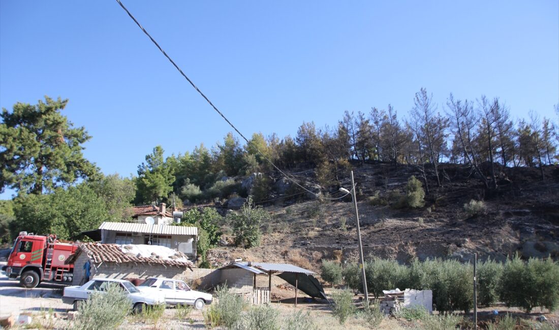 ANTALYA (AA) – Antalya'nın Serik ilçesinde kırsal arazide başlayıp ormana