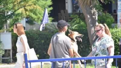 ANTALYA (AA) – Antalya'da falezlerden denize düşen köpek, itfaiye ve