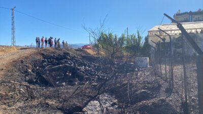 ANTALYA (AA) – Antalya'nın Gazipaşa ilçesinde, muz seralarının yanında bulunan