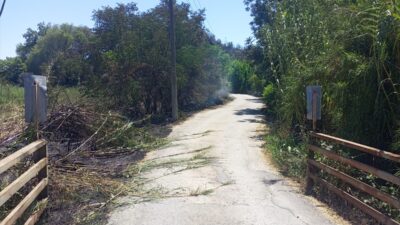 ANTALYA (AA) – Antalya'nın Aksu ilçesinde, yerleşim bölgesine yakın otluk