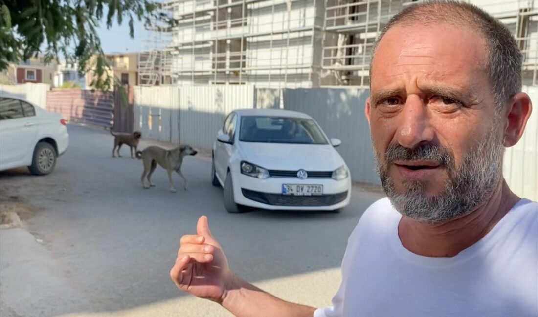 ANTALYA (AA) – Antalya'da saldırgan olduğu için vatandaşlarca yapılan şikayet
