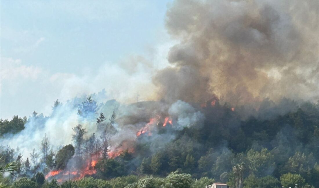 ANTALYA (AA) – Antalya’nın Aksu ilçesinde orman yangını çıktı. Antalya’nın