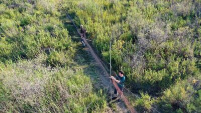 Iğdır'daki Aras Kuş Araştırma ve Eğitim Merkezi'nde 2 haftada 59
