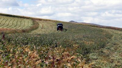 Kentte alternatif olarak yem bezelyesi üretiminin yaygınlaşması amacıyla İl Tarım