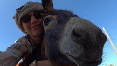 Gaziantep'in İslahiye ilçesinde, geç Hitit döneminin başkenti olarak bilinen Zincirli