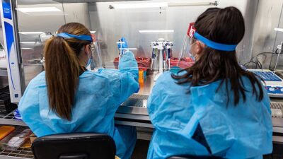 Avrupa Hastalık Önleme ve Kontrol Merkezi (ECDC), M çiçeği virüsü