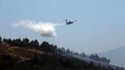 Tarım ve Orman Bakanı İbrahim Yumaklı, Aydın'ın Bozdoğan ilçesindeki orman