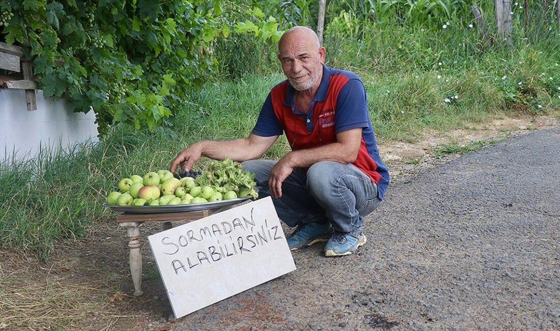 Trabzon'da 61 yaşındaki Haydar Usta, bahçesinde yetiştirdiği meyve ve sebzenin