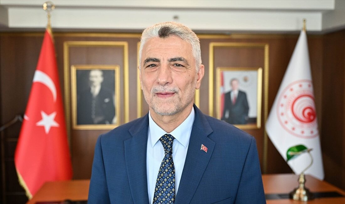 Ticaret Bakanı Bolat, "Bir yandan dış ticaret açığındaki gerilemeyle büyüme