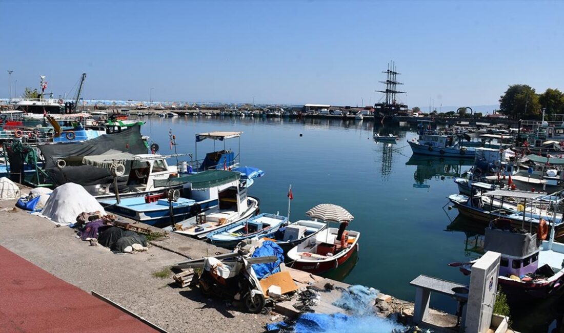 Batı Karadeniz'in önemli balıkçı limanlarından Düzce'nin Akçakoca ilçesinde ağ ve