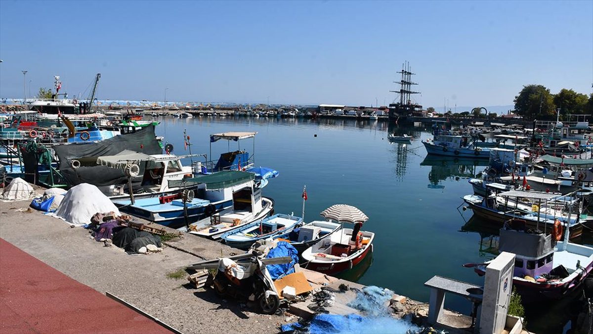 Batı Karadeniz'in önemli balıkçı limanlarından Düzce'nin Akçakoca ilçesinde ağ ve