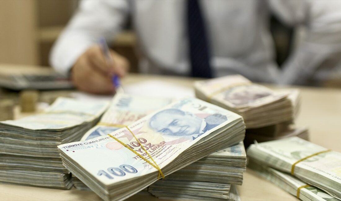Bankacılık Düzenleme ve Denetleme Kurumu (BDDK) verilerine göre, temmuz sonu