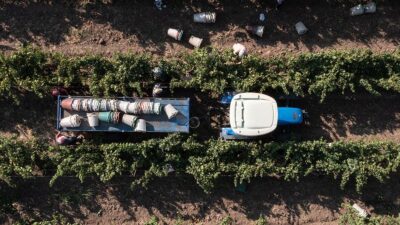 Bankacılık sektörü, haziran sonu itibarıyla tarım sektörüne verdiği kredi desteğini