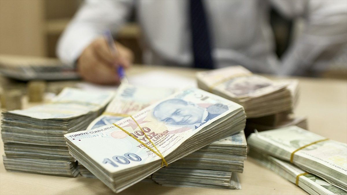 Bireysel katılım sermayesi uygulamasının Türkiye'de devreye girmesinden bu yana 224