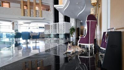 Antalya'nın Alanya ilçesindeki bir otelin inşaatında 10 yıl önce bitkin