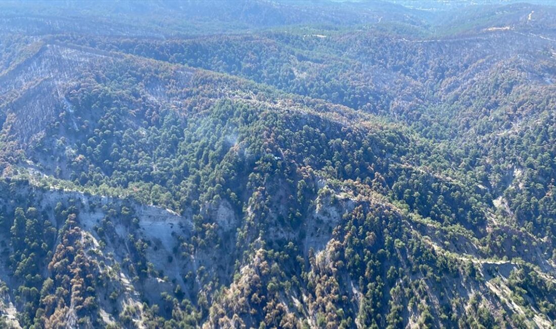 Bolu'nun Göynük ilçesinde kontrol altına alınan orman yangınında soğutma çalışmaları