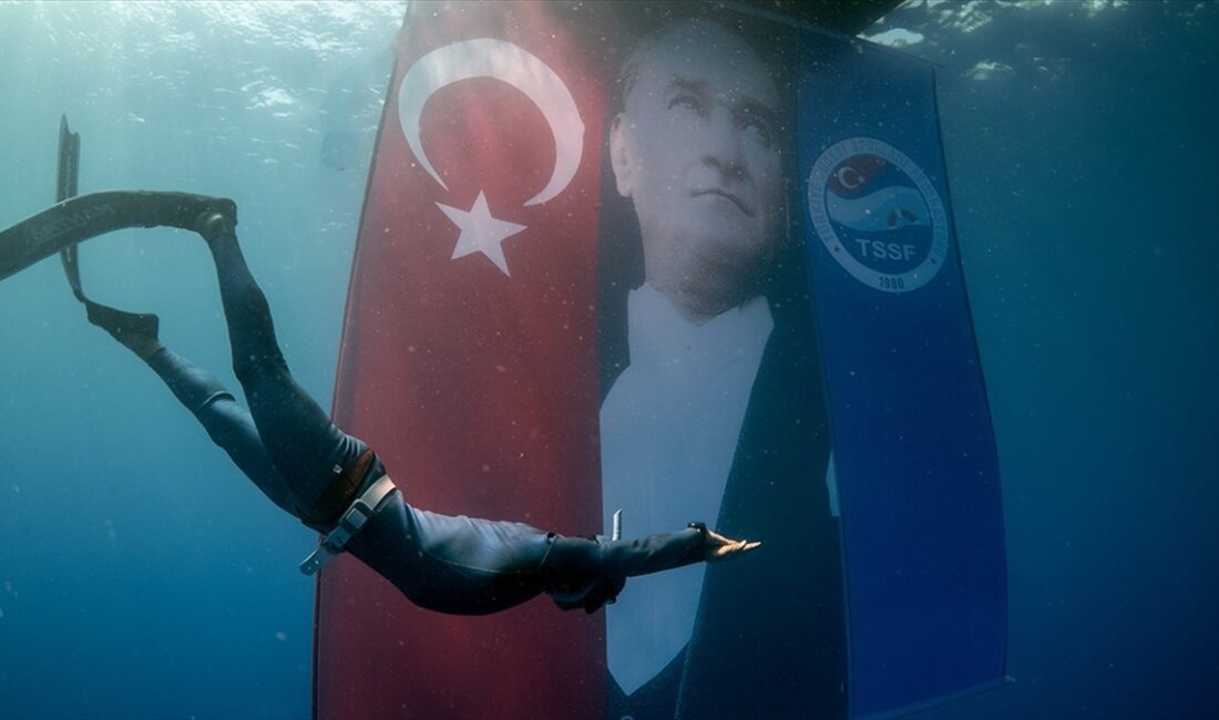 Türkiye Sualtı Sporları Federasyonu dalgıçları ile su altı belgesel yapımcısı