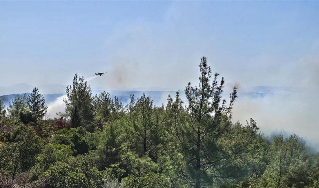 Çanakkale'nin Eceabat ilçesinde çıkan orman yangınına havadan ve karadan müdahale