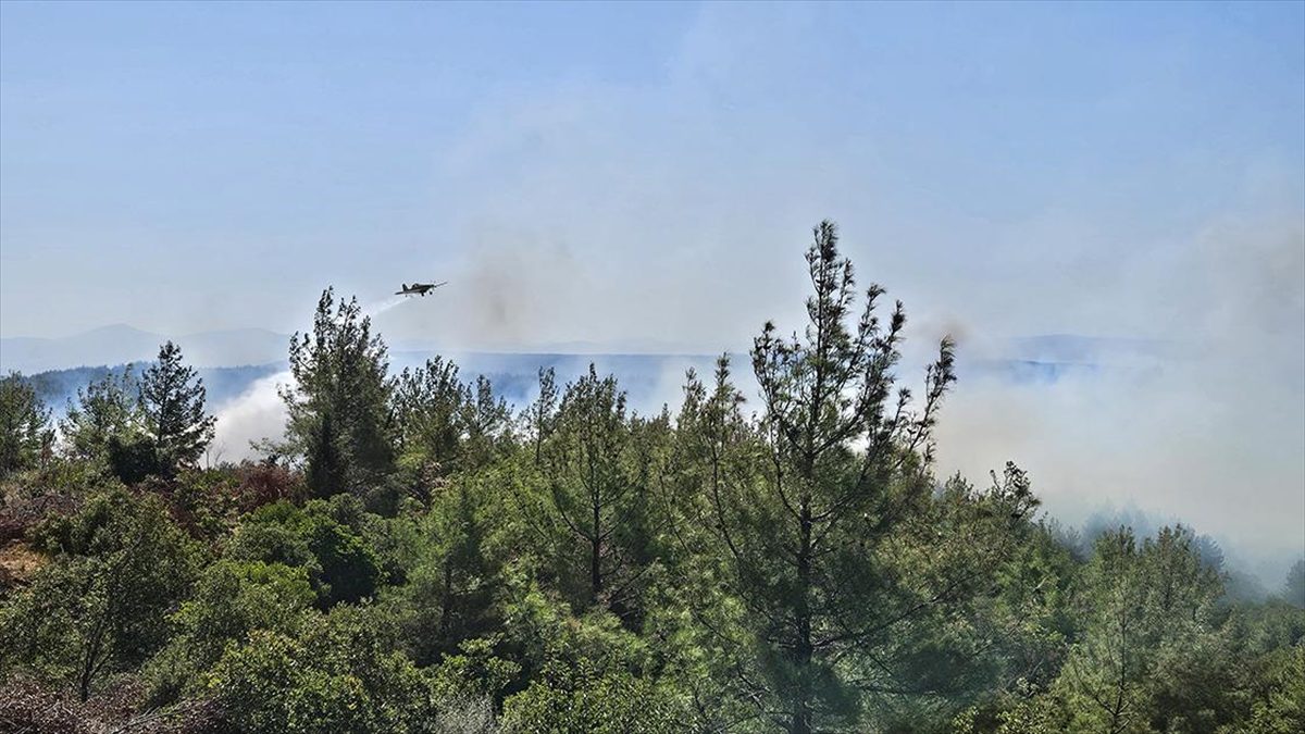 Çanakkale'nin Eceabat ilçesinde çıkan orman yangınına havadan ve karadan müdahale