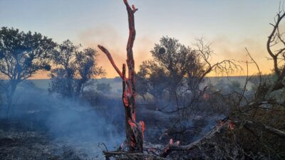 &Ccedil;ORUM (AA) – Yeşilyurt k&ouml;y&uuml; Bağlar mevkisinde bir tarlada başlayan