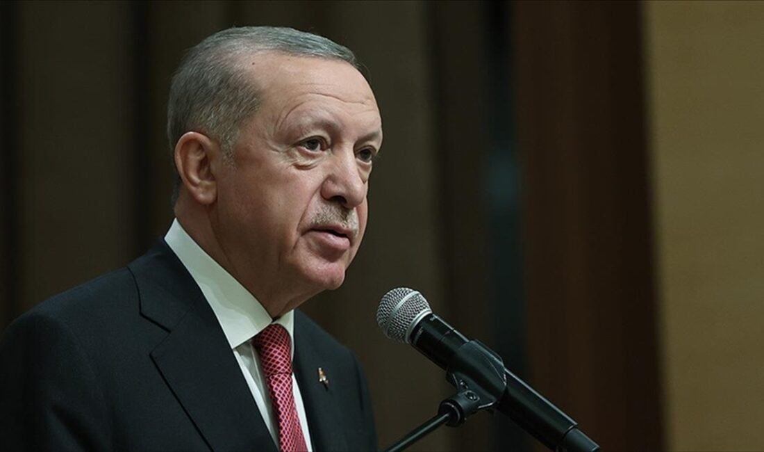 Cumhurbaşkanı Recep Tayyip Erdoğan, Bangladeş Halk Cumhuriyeti Geçici Hükümet Başdanışmanı