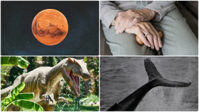 Bilim ve teknoloji dünyasında ortaya çıkan türlü keşif, yenilik ve