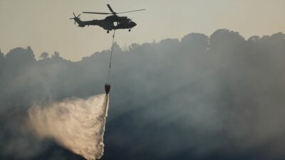 Cumhurbaşkanlığı İletişim Başkanlığı Dezenformasyonla Mücadele Merkezi (DMM), "İzmir'deki yangınlara gerekli