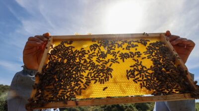 TRABZON (AA) – Doğu Karadeniz İhracat&ccedil;ılar Birliği Y&ouml;netim Kurulu Başkanı