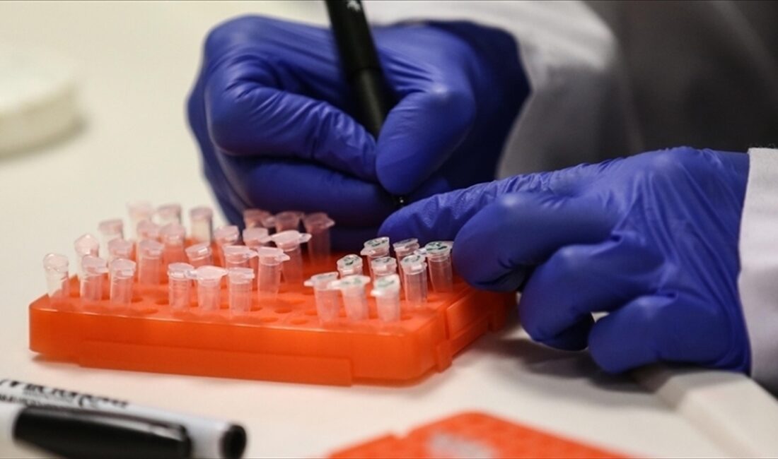 Dünya Sağlık Örgütü (DSÖ), M çiçeği (mpox) virüsünün dünya genelinde