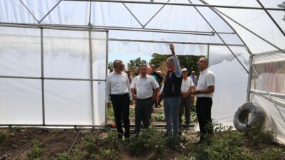 Edirne'de Valilik desteğiyle hayata geçirilen proje kapsamında sera alanının 500