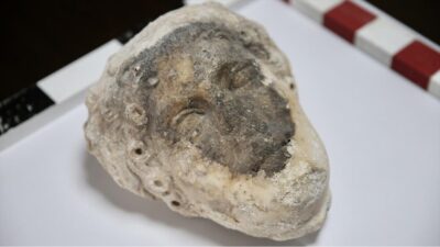 Muğla'daki Fethiye Kalesi kazısında Apollon'a ait olduğu değerlendirilen heykel başı