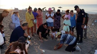 ANTALYA (AA) – Antalya’nın Finike ilçesindeki sahilde bulunan caretta caretta