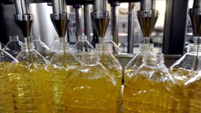 Güneydoğu Anadolu İhracatçı Birlikleri (GAİB), 7 ayda 294 milyon dolarlık