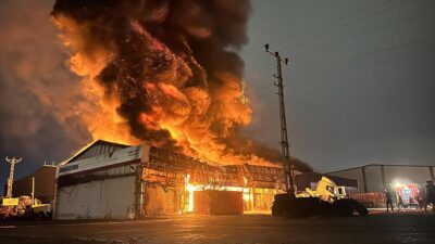 Hatay'ın Payas ilçesinde lastik deposunda çıkan kontrol altına alındı.