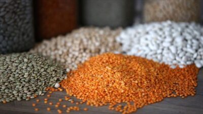 Bisküvi, buğday unu, bitkisel yağlar, şekerli ürünler ile makarna başta