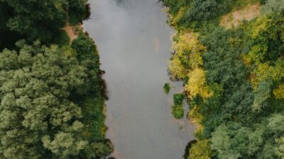 İngiltere'nin Batı Midlands bölgesindeki Walsall kanalına zehirli kimyasal madde olan