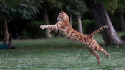 İran’ın başkenti Tahran’ın merkezinde yer alan kentin en eski ve