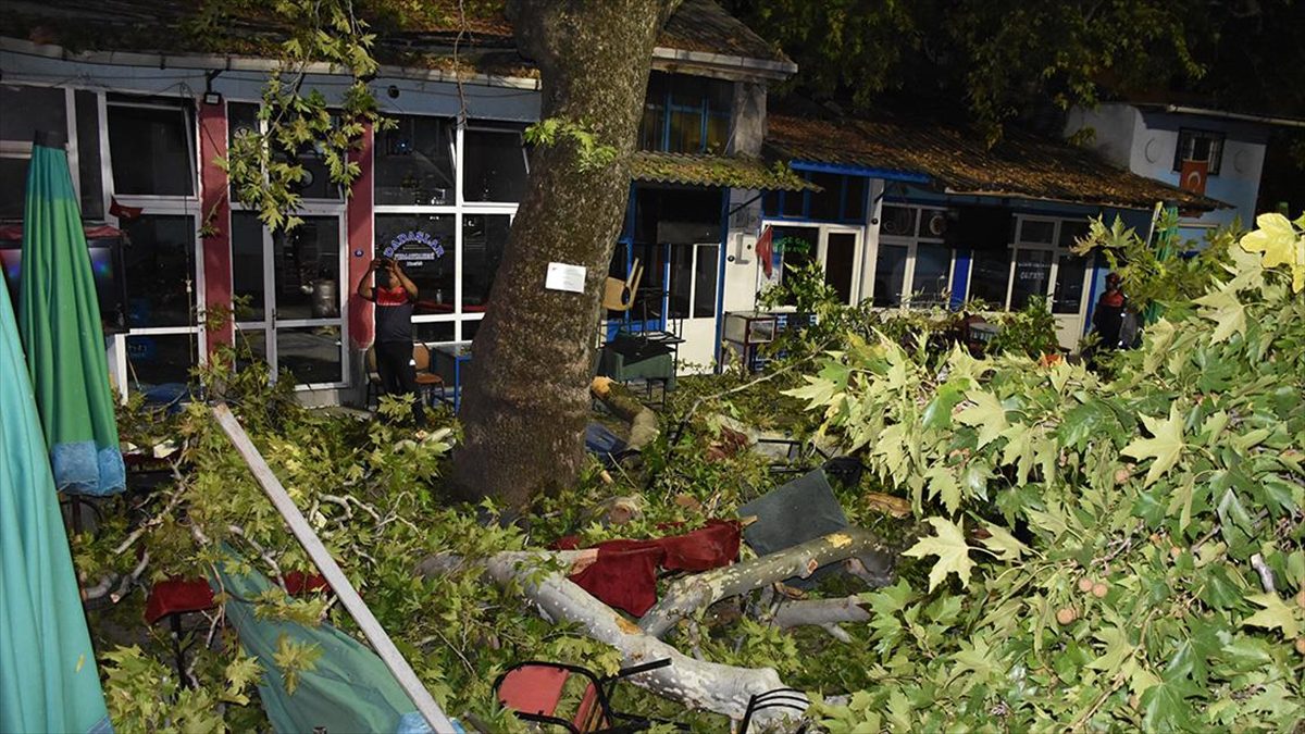 İzmir'in Kemalpaşa ilçesinde, asırlık çınar ağacının kırılan dalları ağacın altında