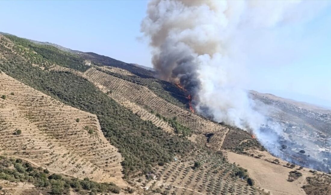 İzmir'in Urla ilçesinde makilik alanda çıkan yangın, havadan ve karadan