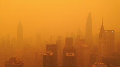 Kanada'da geçen yıl çıkan orman yangınları, en fazla salım yapan