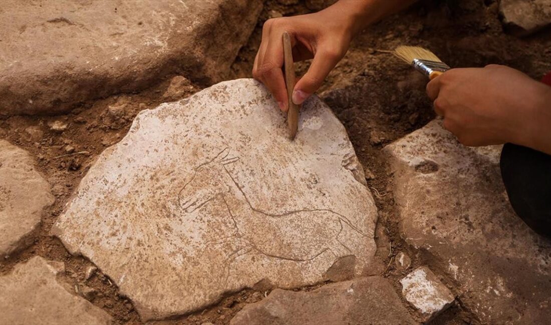 Şanlıurfa'da, neolitik döneme ait "T" biçiminde 250'nin üzerinde dikilitaşın bulunduğu
