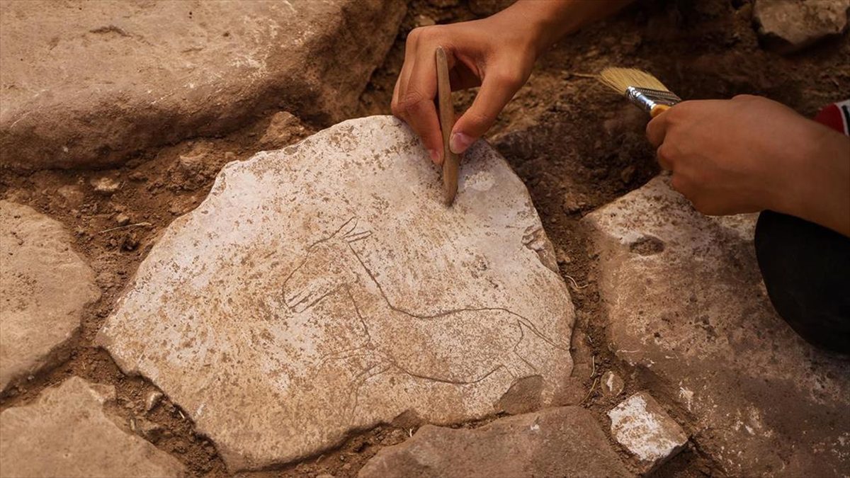 Şanlıurfa'da, neolitik döneme ait "T" biçiminde 250'nin üzerinde dikilitaşın bulunduğu