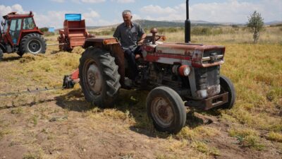 İSTANBUL (AA) – Kayseri Valiliği ve Migros, Yerli Yeşil Mercimek