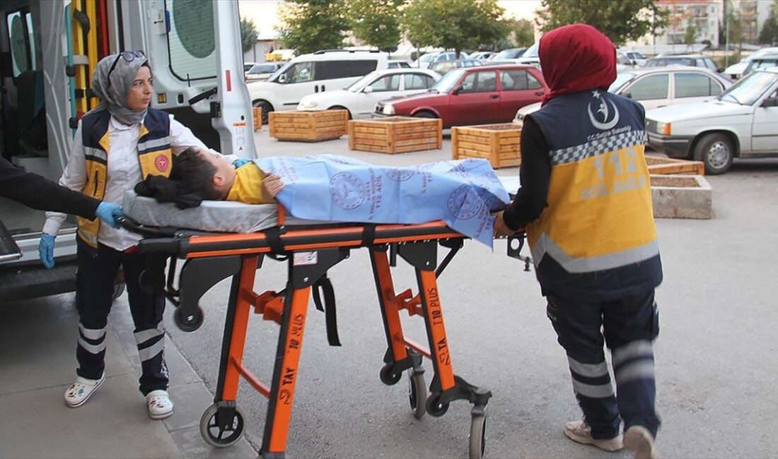 Konya’nın Beyşehir ilçesinde parkta sokak köpeklerinin saldırısına uğrayan 6 yaşındaki