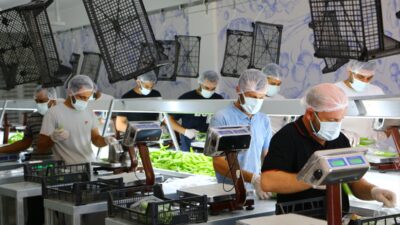 ANTALYA (AA) – Antalya Büyükşehir Belediyesince Kumluca ilçesinde yapımı tamamlanan