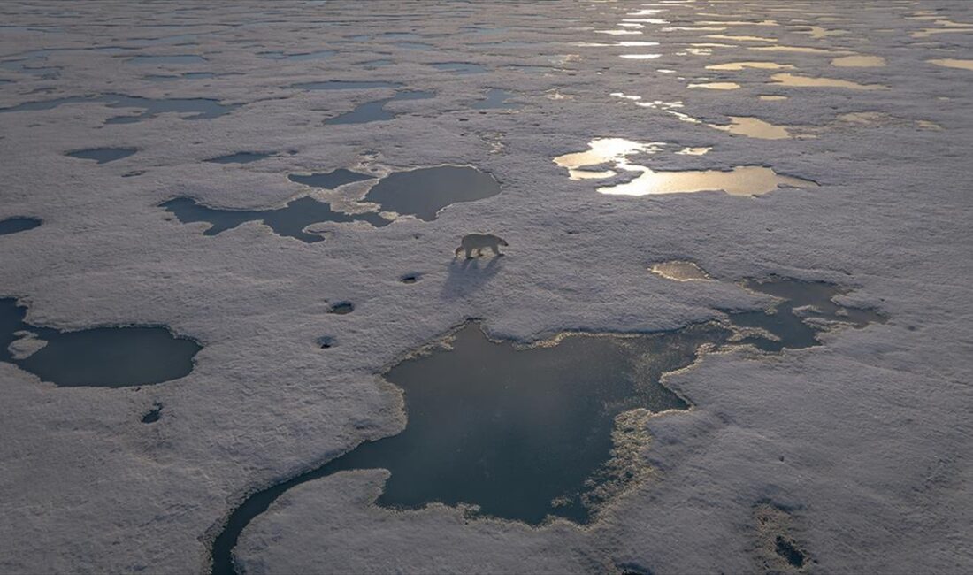 SVALBARD (AA) – Arktik okyanus sistemi, bölgeyi benzersiz kılan birçok
