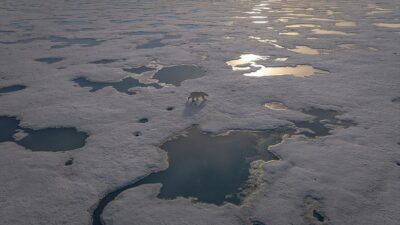 SVALBARD (AA) – Arktik okyanus sistemi, b&ouml;lgeyi benzersiz kılan bir&ccedil;ok